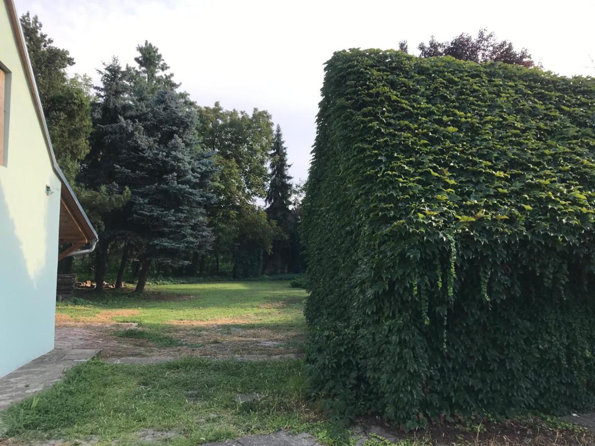 PB Urban Garden Villa Sremska Mitrovica Exterior foto
